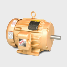 General purpose motors